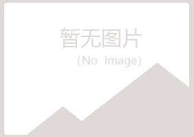 定海区山柏会计有限公司